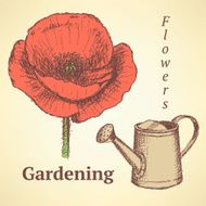 Sketch poppy and watering can vector background