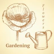 Sketch poppy and watering can vector background N2