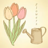 Sketch tulip and watering can vector background