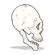 skull illustration N6