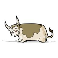 Cartoon Bull N25