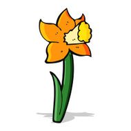 cartoon daffodil N6