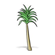 Cartoon Palm Tree N66