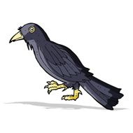Cartoon Crow N18