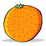 Cartoon Orange N17