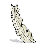 Cartoon Feather N29