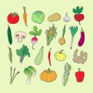 Set of hand drawn vegetables