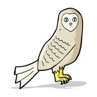 Cartoon Owl N106