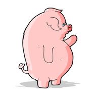 cartoon fat pig N3