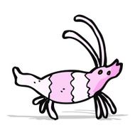 Cartoon Shrimp N29
