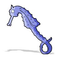 Cartoon Sea Horse N20