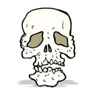 Cartoon Skull N53