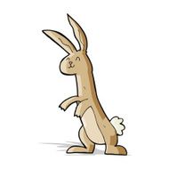 Cartoon Rabbit N92