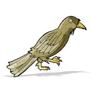 Cartoon Crow N19