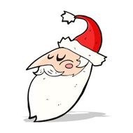 Cartoon Santa Face N8