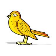 cartoon garden bird N18