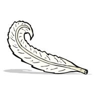 Cartoon Feather N30