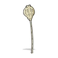 cartoon dried poppy N12