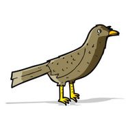 Cartoon Bird N210