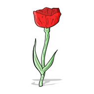 cartoon poppy N4