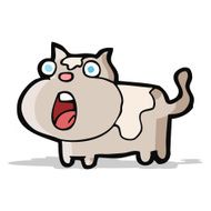 caroton shocked cat N2