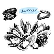 Mussels N2