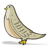 cartoon common bird N2