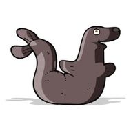 Cartoon Seal N23