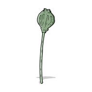 cartoon dried poppy N15