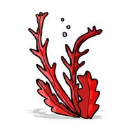 Cartoon Seaweed N44