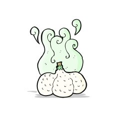 Cartoon Garlic N13