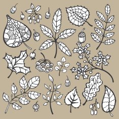 Set Decorative Autumn leaves berries acorns