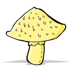cartoon wild mushroom N4