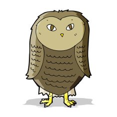 Cartoon Owl N98