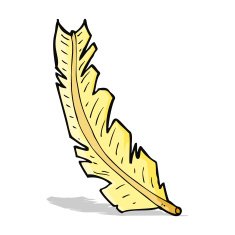 Cartoon Feather N22