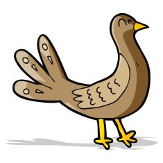 Cartoon Bird N180