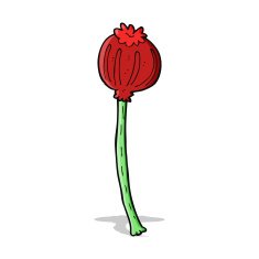 cartoon dried poppy N10