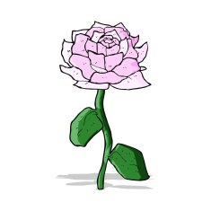 rose cartoon N3