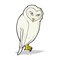 Cartoon Owl N100