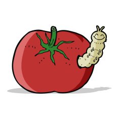 cartoon tomato with bug N4