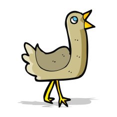 Cartoon Bird N181