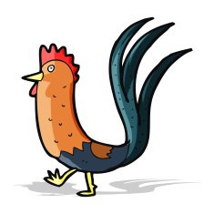 cartoon cockerel N13