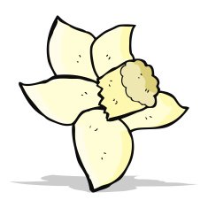 cartoon daffodil N4