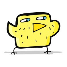 Cartoon Bird N183