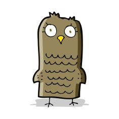 Cartoon Owl N101