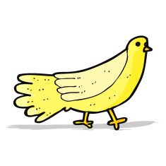 Cartoon Bird N187