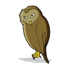 Cartoon Owl N102