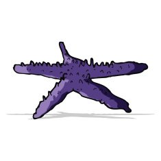 Cartoon Starfish N38