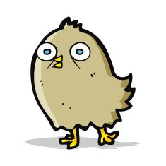 funny cartoon bird N80