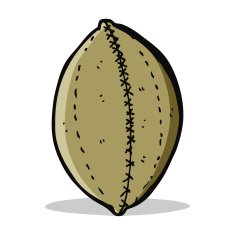 cartoon old leather football N2